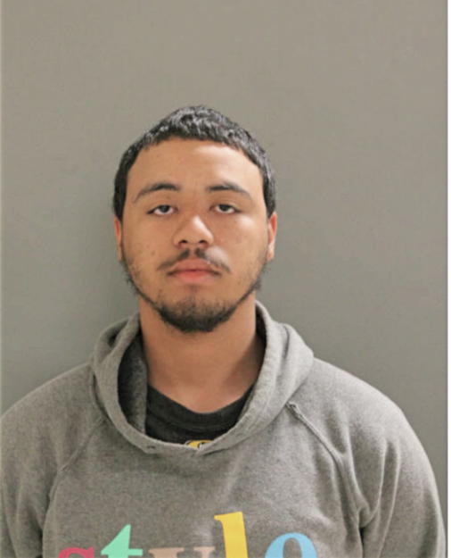 DORIAN E ARNOLD, Cook County, Illinois