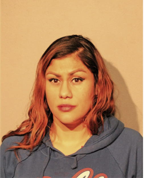 DINA DELAPAZ, Cook County, Illinois