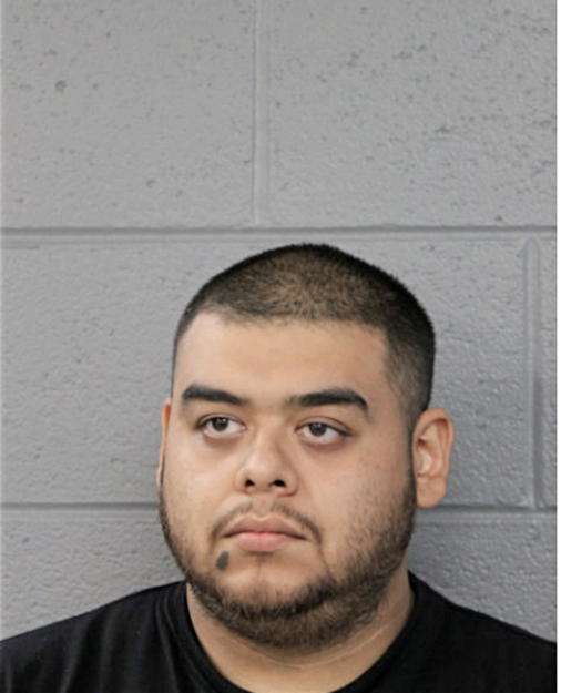 JOSE M DELGADO, Cook County, Illinois