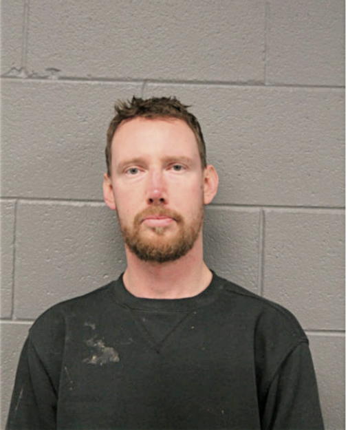 SEAN M DRAKE, Cook County, Illinois
