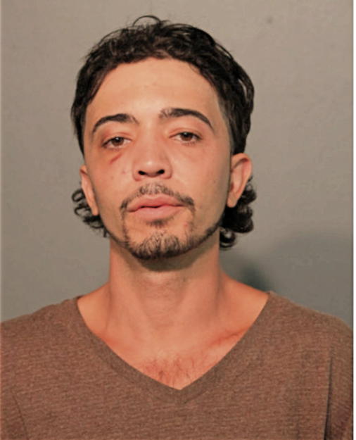 LEONARDO FERNANDEZ, Cook County, Illinois