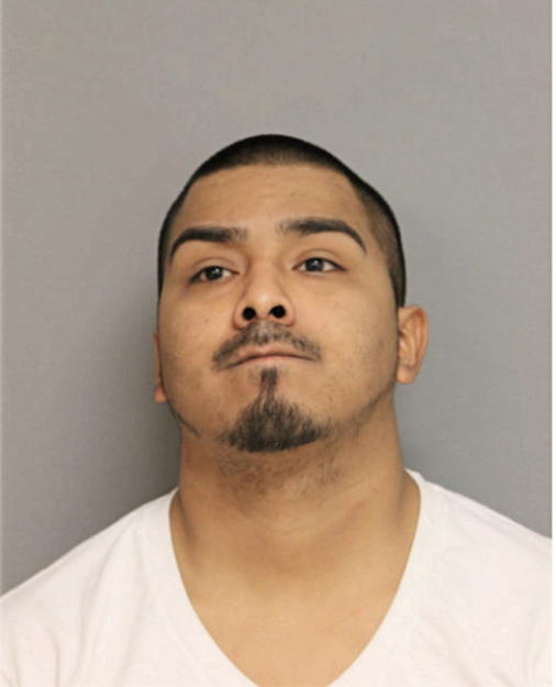 GEORGE R GARCIA, Cook County, Illinois