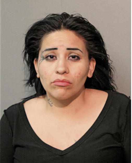 ROSARIO GONAZLEZ, Cook County, Illinois