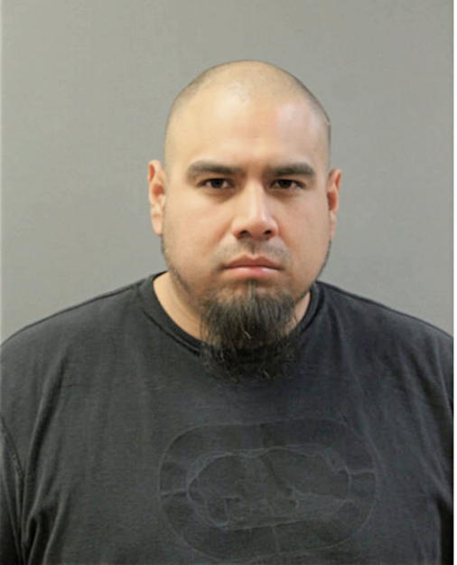 CARLOS HERNANDEZ, Cook County, Illinois