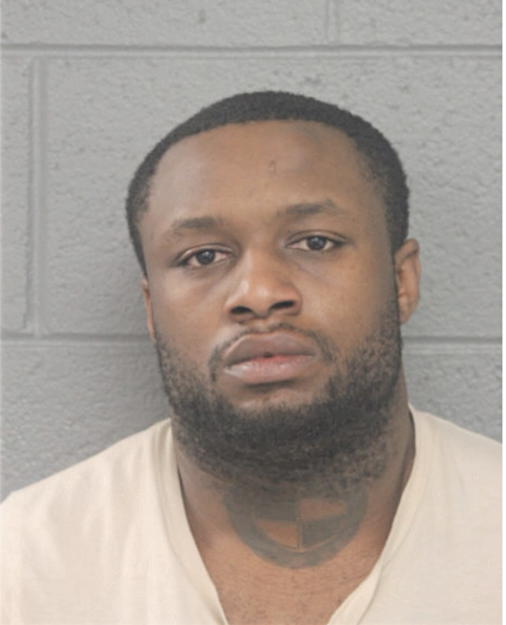 CHRISTOPHER A LEWIS, Cook County, Illinois