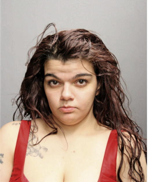 JANET NUNEZ, Cook County, Illinois