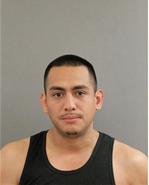 FERNANDO P PEDRAZA, Cook County, Illinois