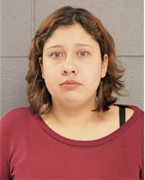 GABRIELA VIDANA, Cook County, Illinois