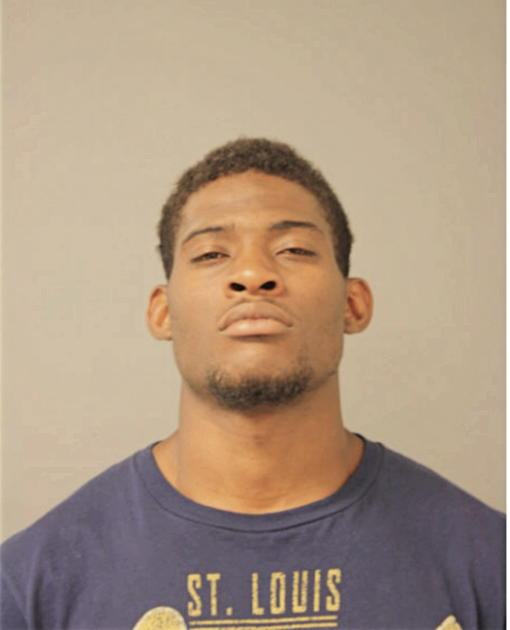 ERIC D YOUNG, Cook County, Illinois