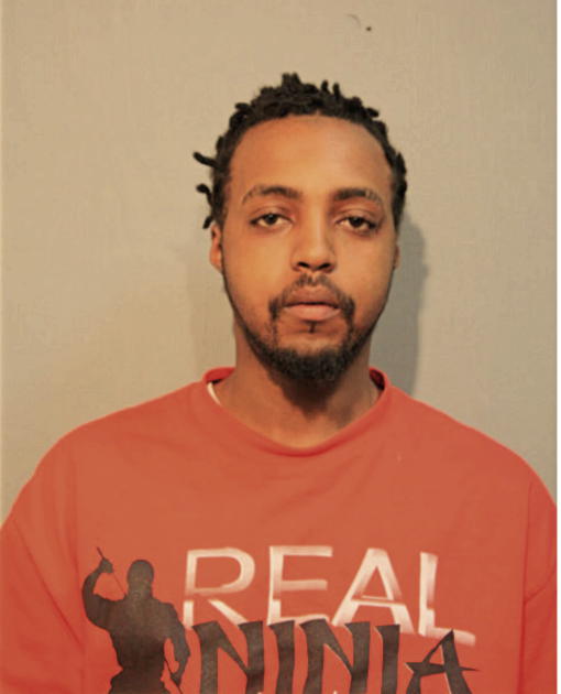 JOHNNIE C YOUNG, Cook County, Illinois