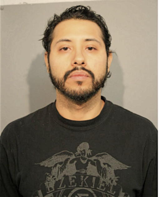 ISMAEL A ALBA-MALAGON, Cook County, Illinois
