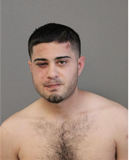 MICHAEL P ALIBHAI, Cook County, Illinois