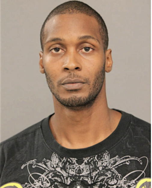 ADAM L BRAND, Cook County, Illinois