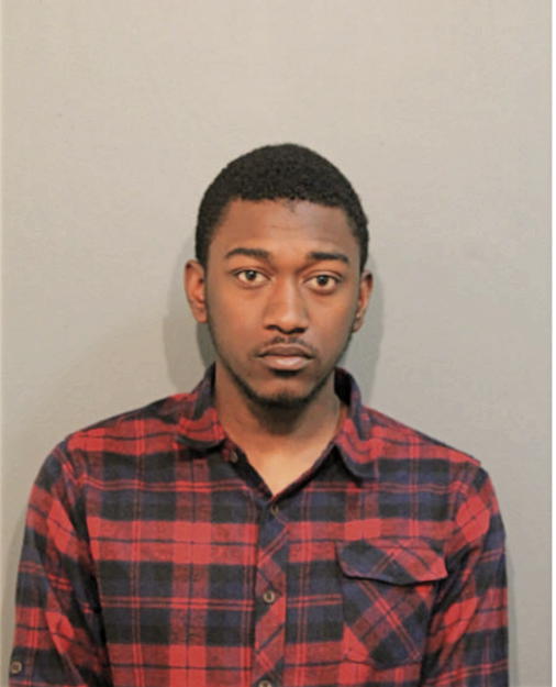 DEREK R BRANDY, Cook County, Illinois