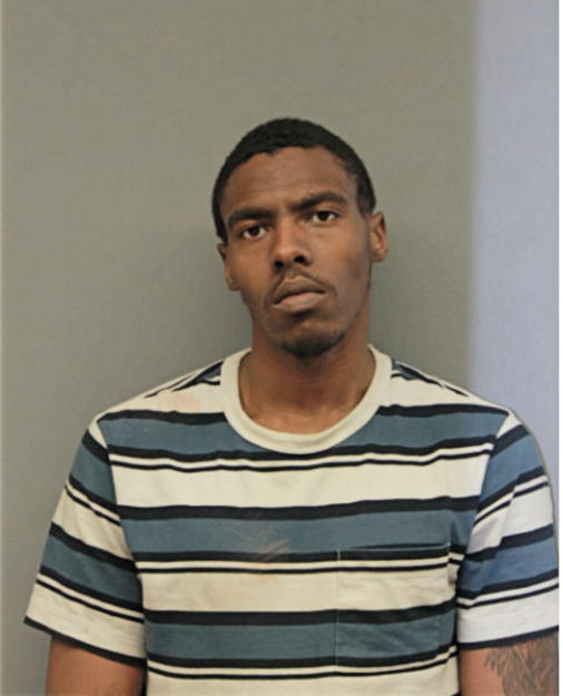 BRANDEN L BURNS, Cook County, Illinois