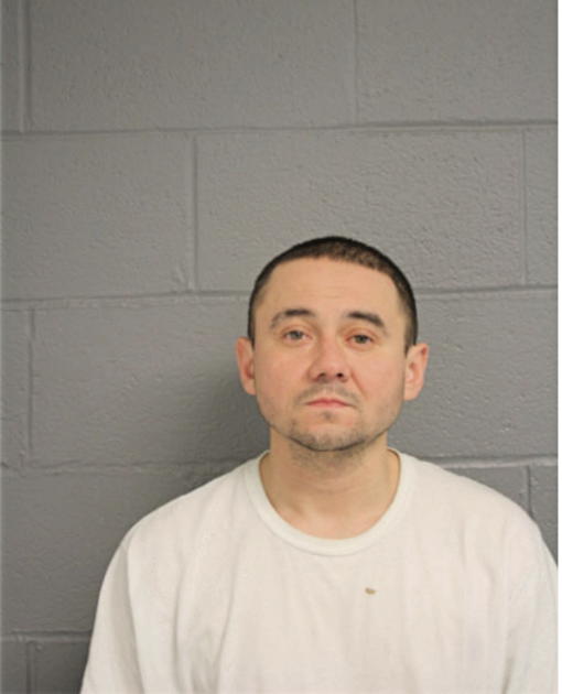 EDWARD N BUSSE, Cook County, Illinois