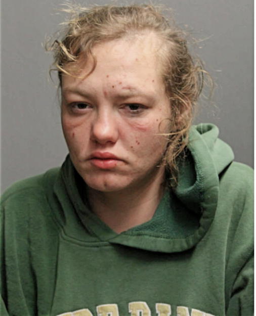 HOLLY G BUTLER, Cook County, Illinois
