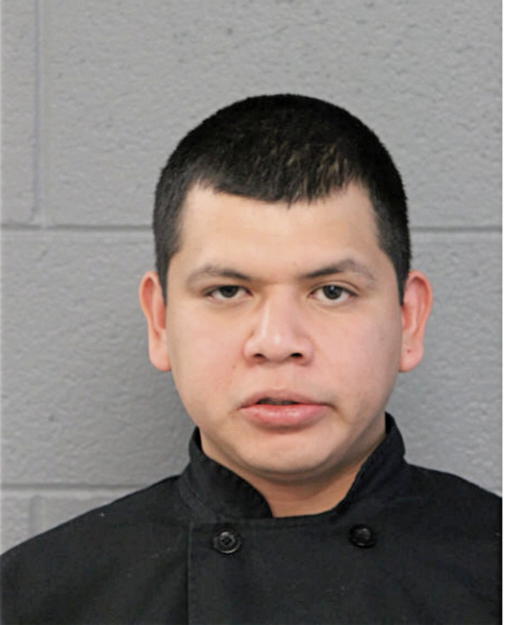 JOSE M CISNEROS, Cook County, Illinois