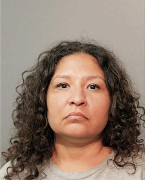 CHRISTINA N CRUZ, Cook County, Illinois