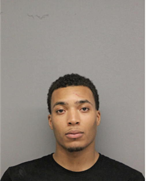 RYAN AA CUNNINGHAM, Cook County, Illinois