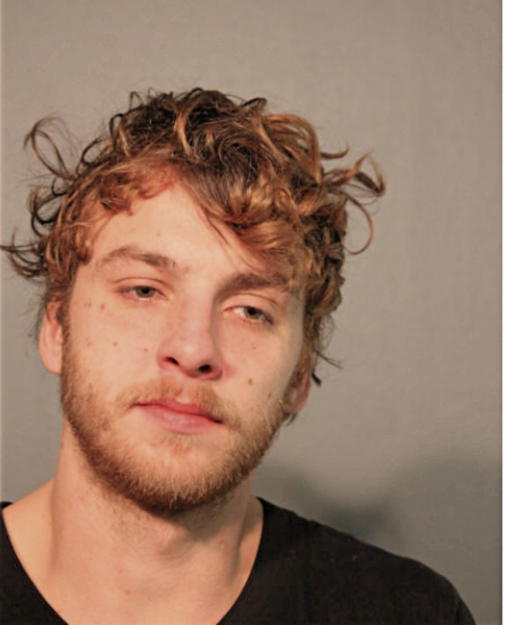 CHRISTOPHER N DAVIS, Cook County, Illinois