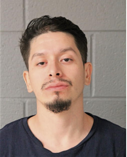 DAVID ESTRADA, Cook County, Illinois