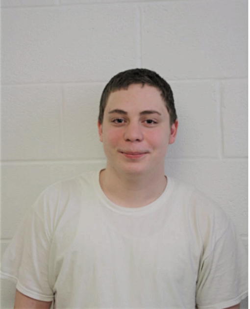 MATTHEW J FINNEGAN, Cook County, Illinois