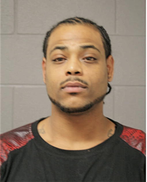 BRANDON N FREEMAN, Cook County, Illinois