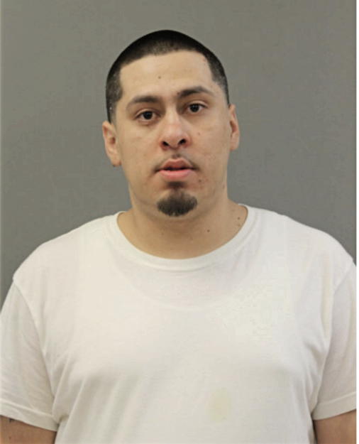 JUAN F GARZON, Cook County, Illinois