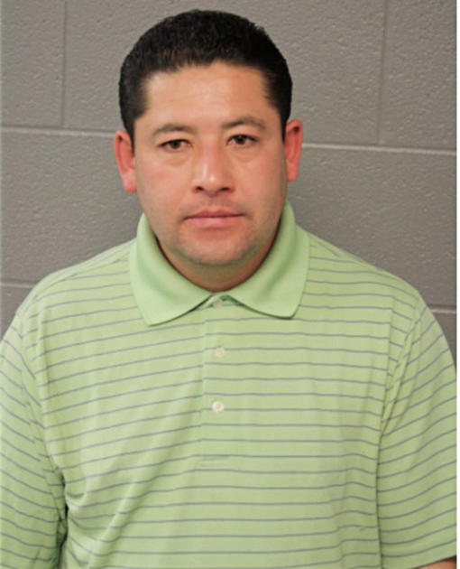 CELESTINO HERNANDEZ, Cook County, Illinois