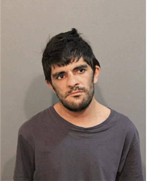 MARK A JAIKARAN, Cook County, Illinois
