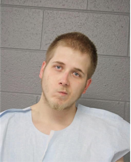 ROBERT J LAPIKAS, Cook County, Illinois