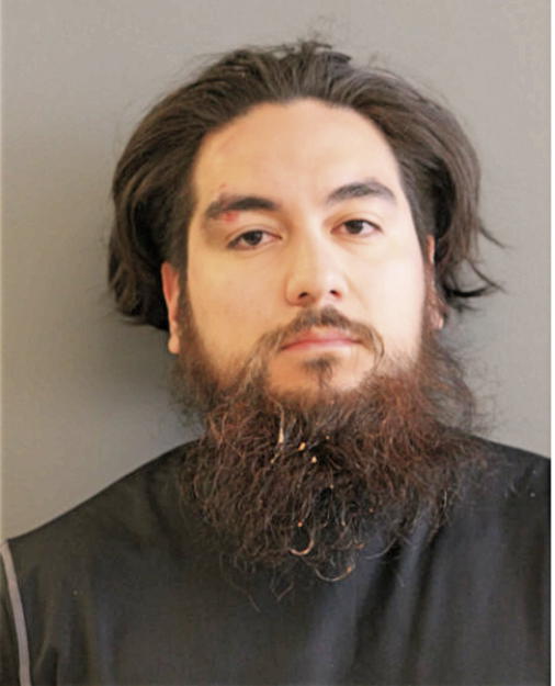 HECTOR J LEYVA, Cook County, Illinois