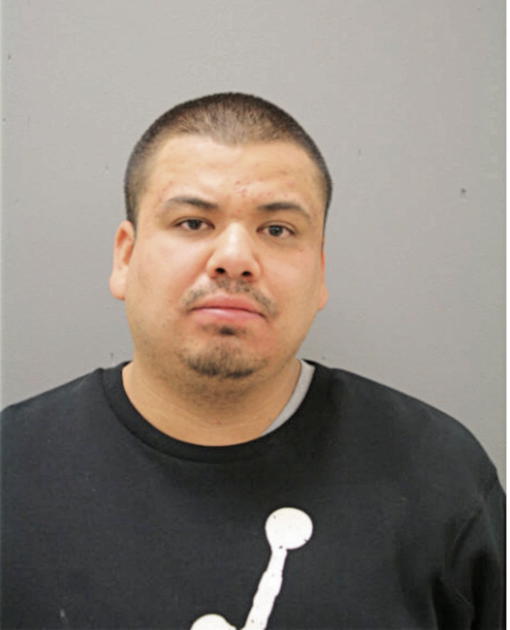 ULYSSIS MELENDEZ, Cook County, Illinois