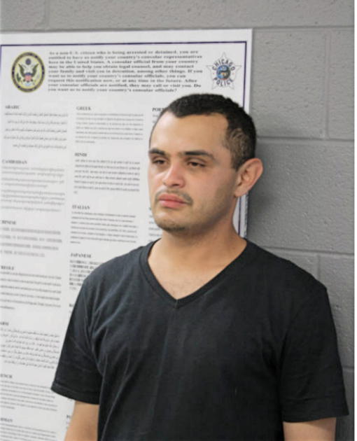 MICHAEL MICHAILDIS, Cook County, Illinois