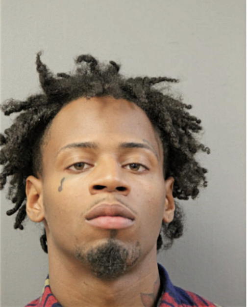 SOLOMON G MILLER, Cook County, Illinois