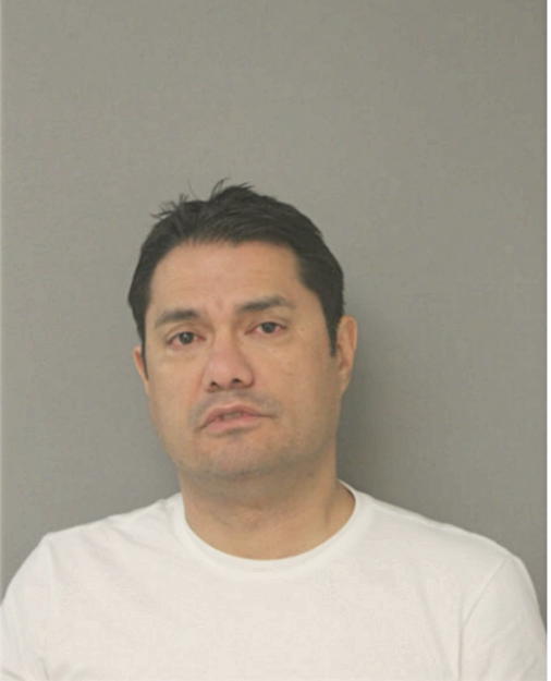 LOUIS C ORONOZ, Cook County, Illinois