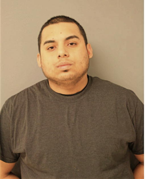 LUIS A OVALLE, Cook County, Illinois