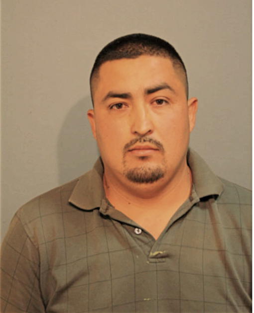 FELIX PALMA-ALVARADO, Cook County, Illinois