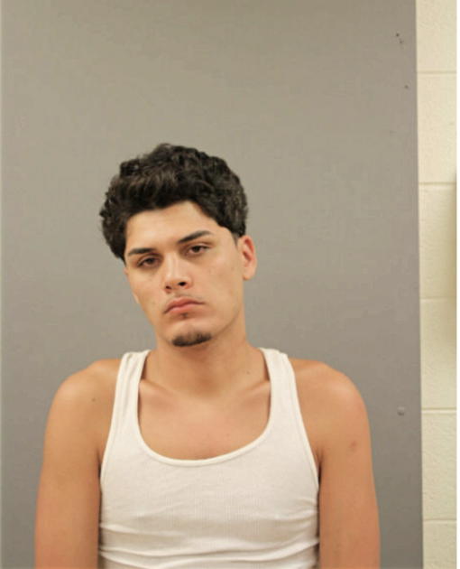 ALEX J RAYMUNDO, Cook County, Illinois
