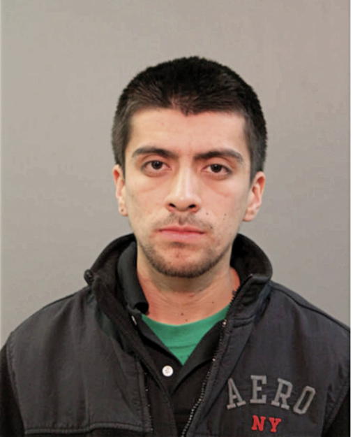 DANIEL J ROJAS, Cook County, Illinois