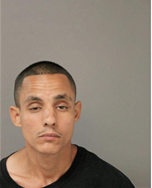 LUIS D SOTO, Cook County, Illinois