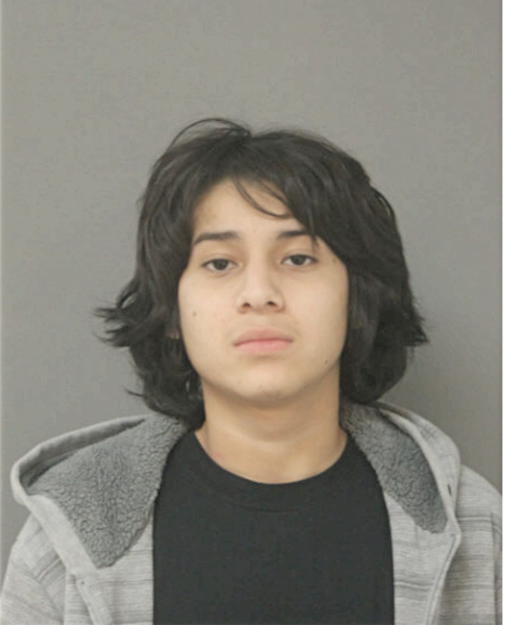 ALEXIS DEL TORO, Cook County, Illinois