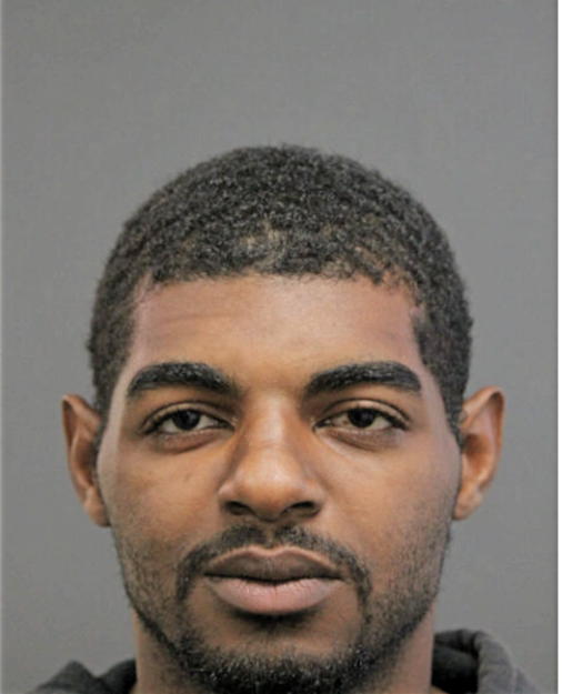 DANELL J TURNER, Cook County, Illinois