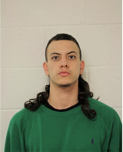 GERMAN ANDRES VIVIESCAS-CANDELO, Cook County, Illinois