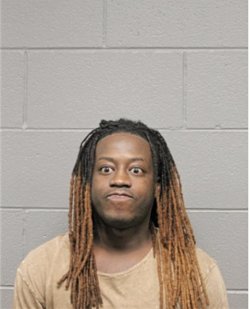 TERRENCE T WASHINGTON, Cook County, Illinois