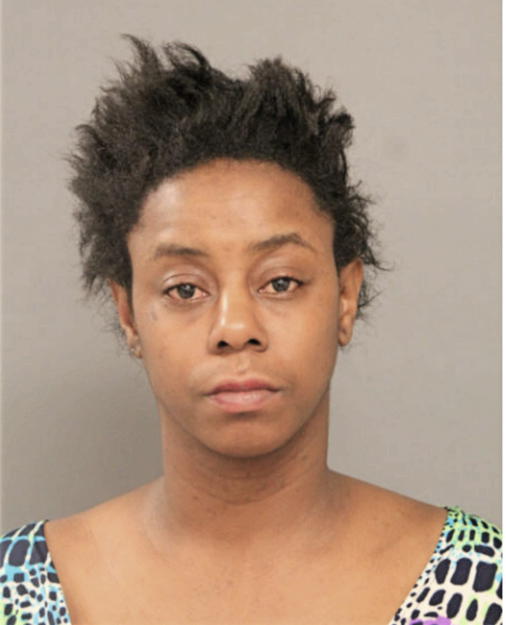 NINA M WILLIAMS, Cook County, Illinois
