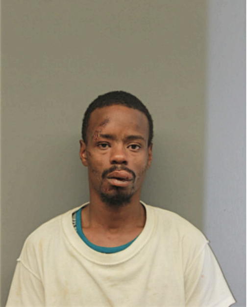 RONNIE H WILLIAMS, Cook County, Illinois