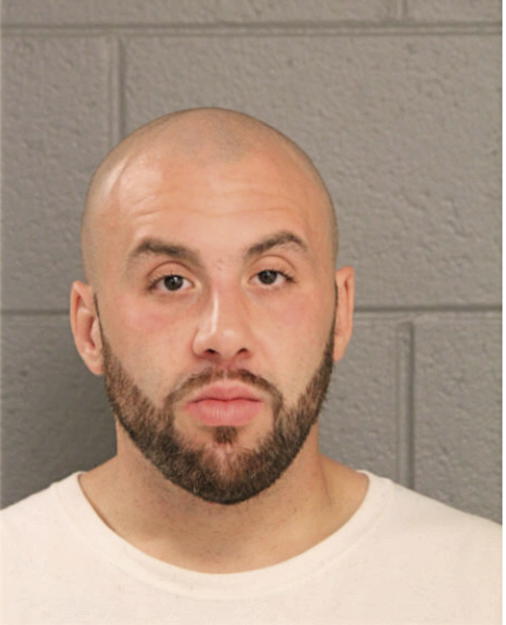 ZIAD W ABUZIR, Cook County, Illinois