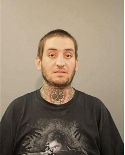 SAMI AHMAD, Cook County, Illinois